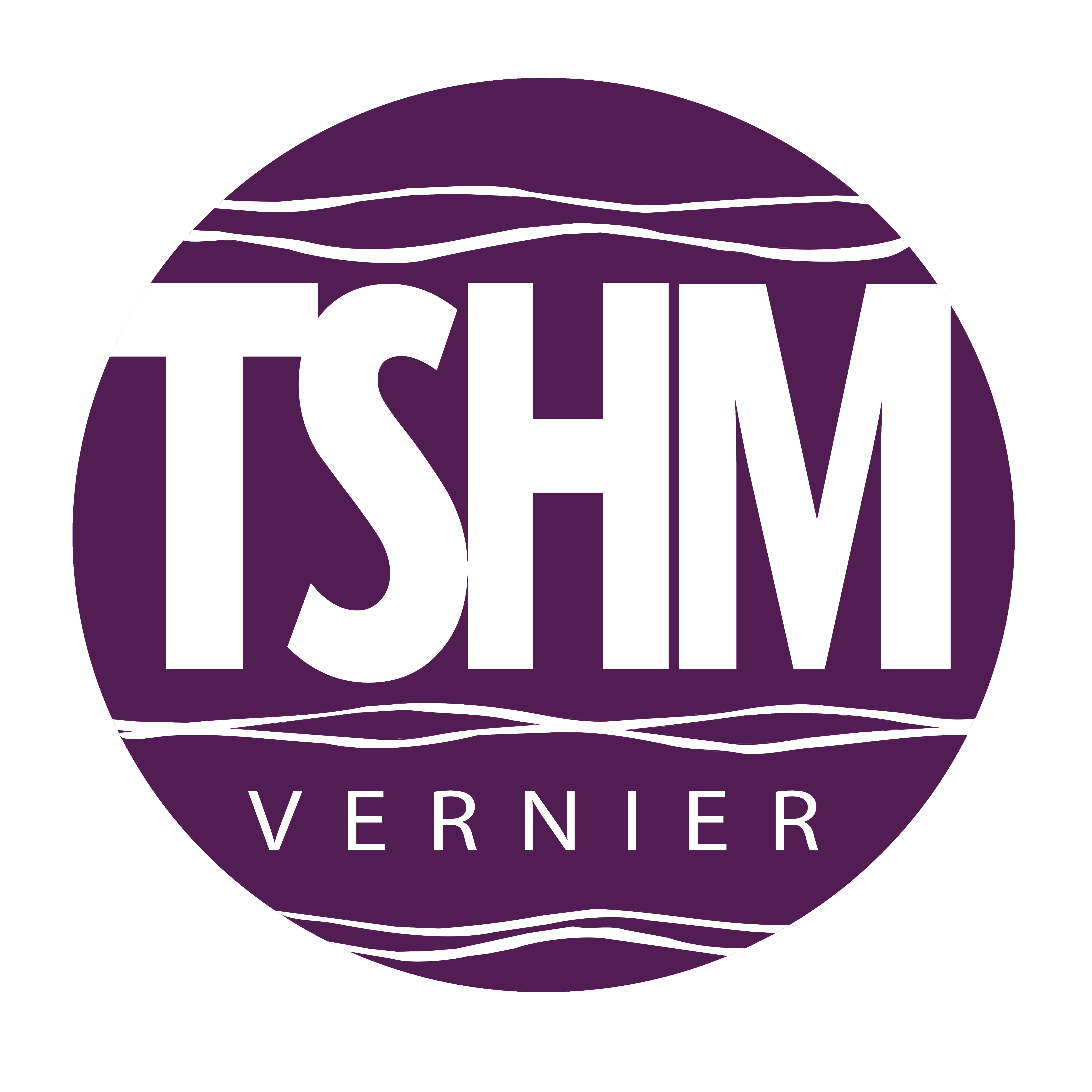 Travailleurs Sociaux Hors Murs Vernier